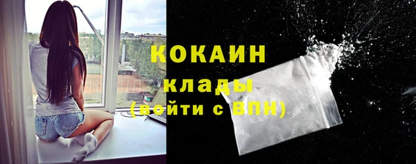 сатива Абаза