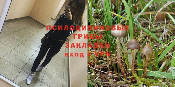 СК Алзамай